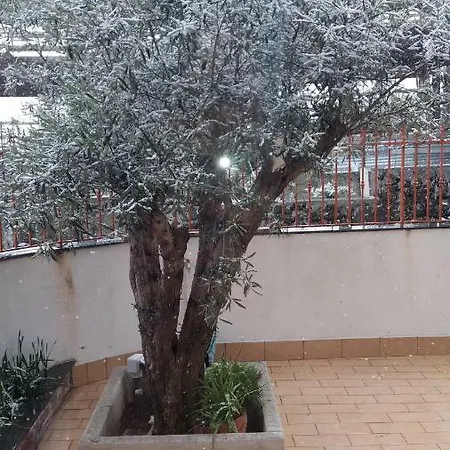 Casa Finaita * Zafferana Etnea